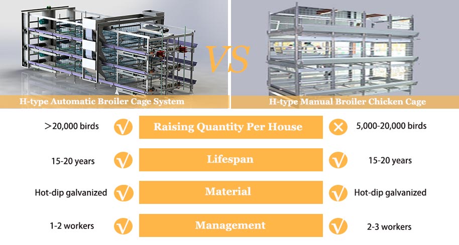 H Type Fully Automatic Broiler Chicken Equipment